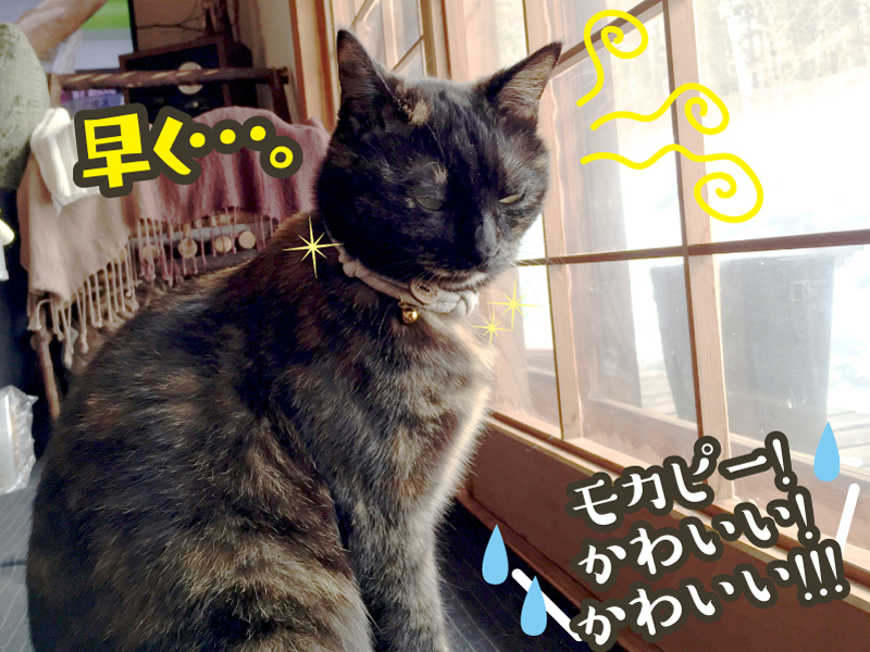 サイズ調節可能・安全バックル付き★ちりめん丸紐風お魚ボタン付き猫の首輪【定形外送料無料】M-0006サンドベージュ