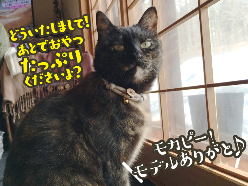 サイズ調節可能・安全バックル付き★ちりめん丸紐風お魚ボタン付き猫の首輪【定形外送料無料】M-0006サンドベージュ