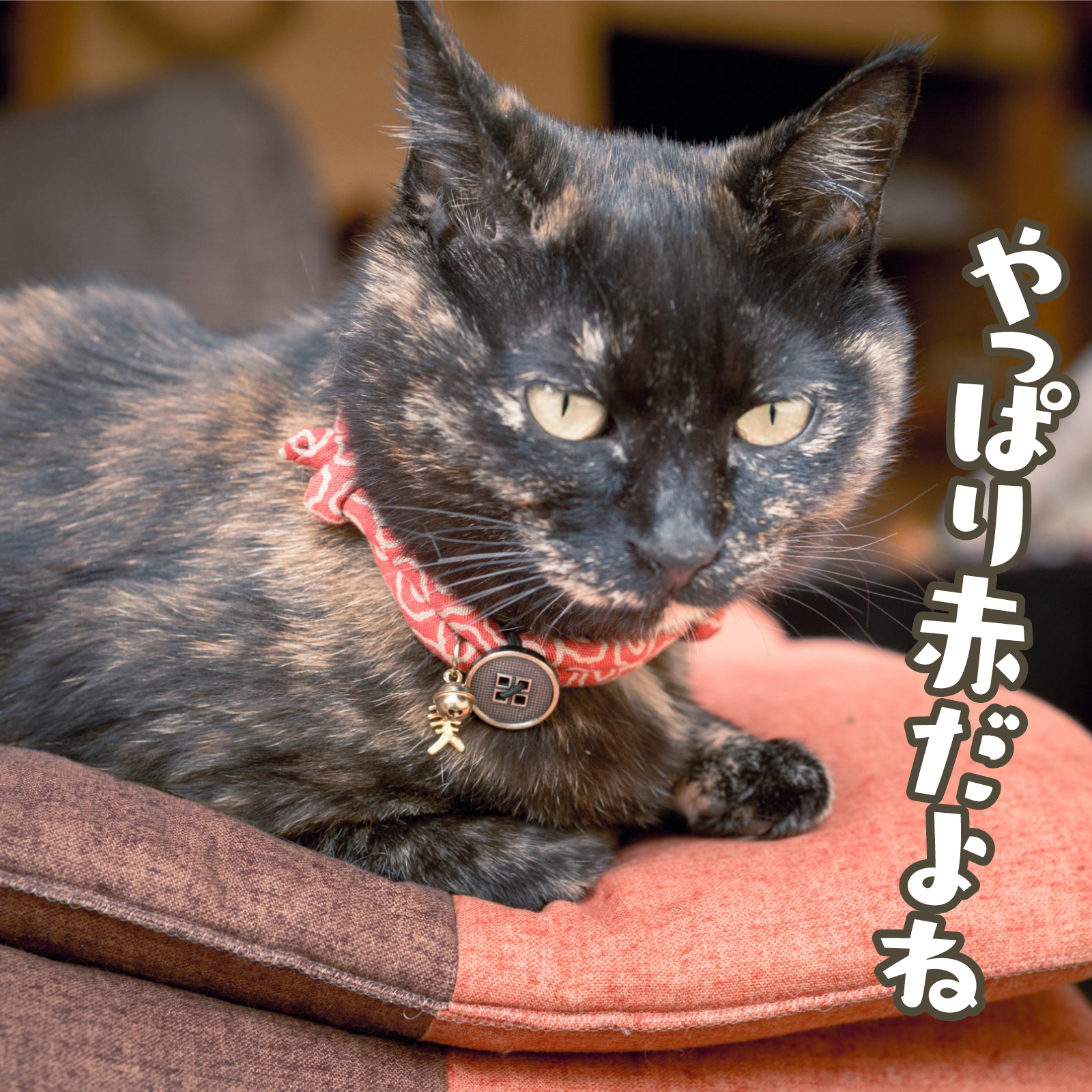 サイズ調節可能・安全バックル付き★ちりめん丸紐風可愛いお魚付き猫の首輪【定形外送料無料】M-0014唐草模様_赤